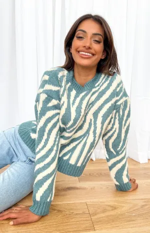 Clareta Blue Zebra Jumper